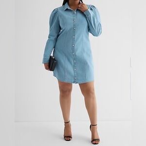 Express Light Blue Long Puff Sleeve Mini Dress